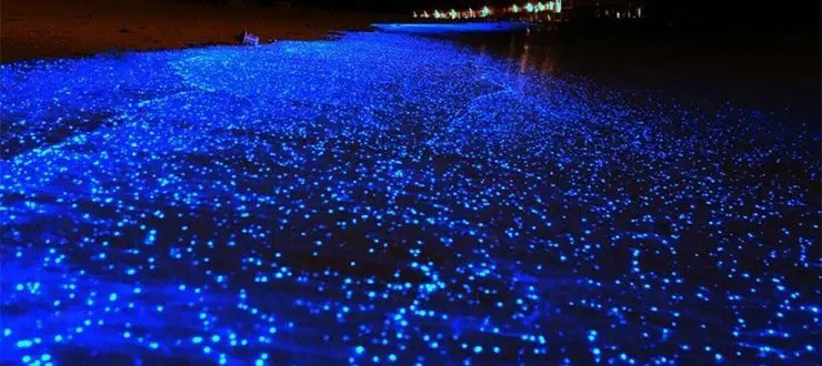Tang (Chabahar plankton beach) Tang (Chabahar plankton beach)