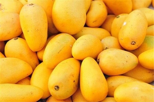 Mangoes