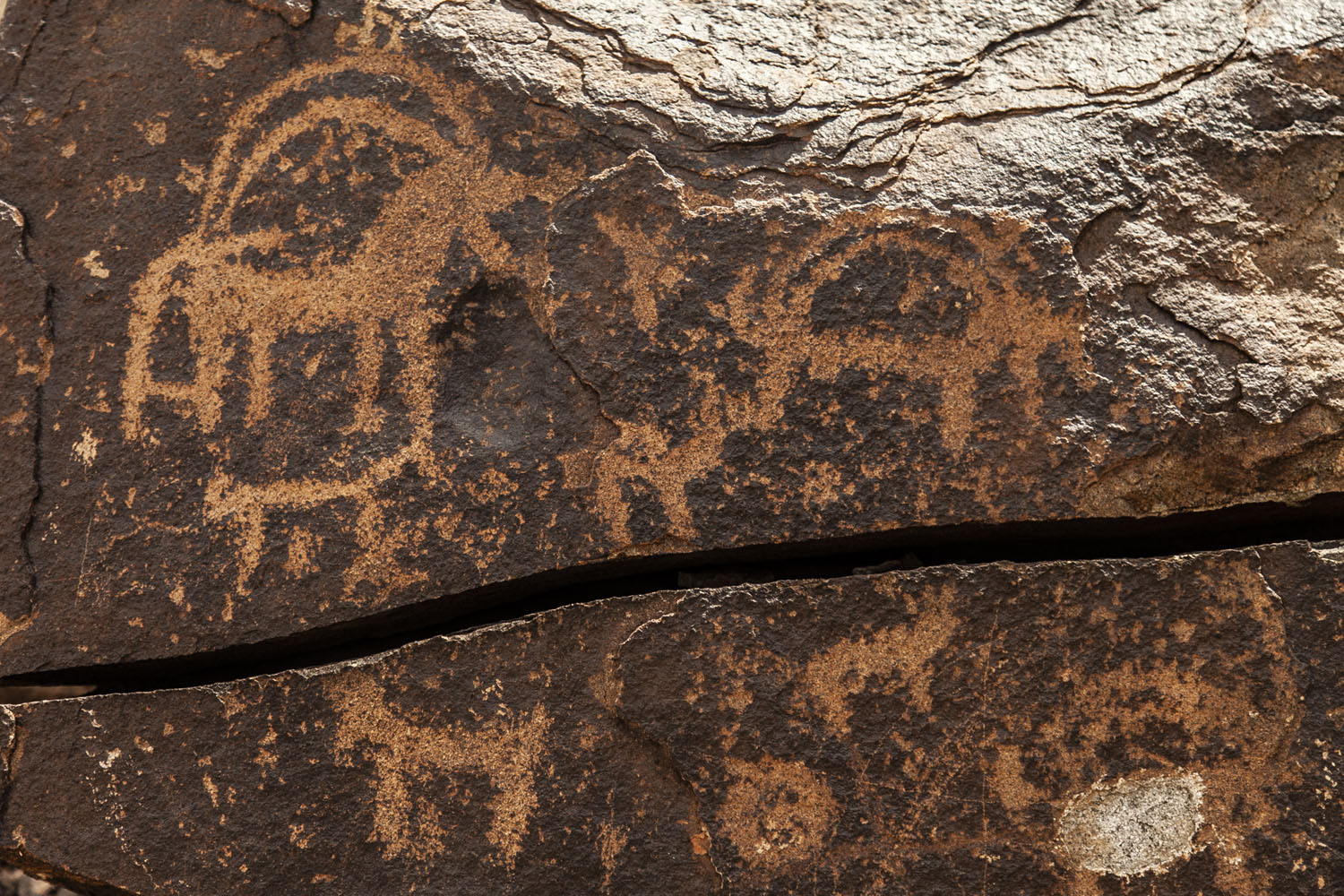 The Nasil (Keptari) petroglyphs