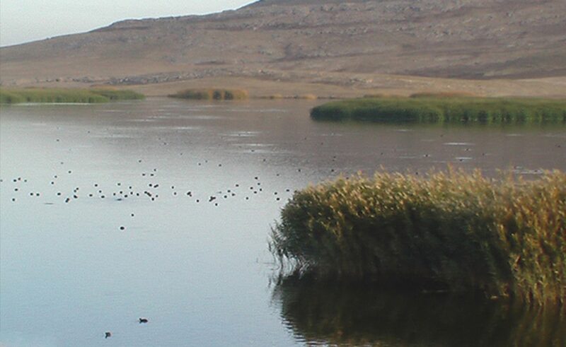 Jazmurian Lake