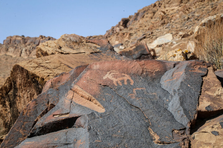 Djerbat petroglyphs