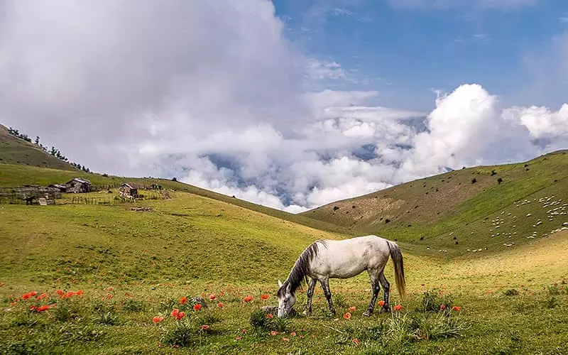 Yilaq Sobatan – Walking In Iran