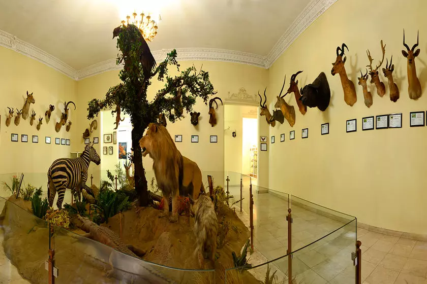 Haft Chenar Wildlife and Natural Artifacts Museum