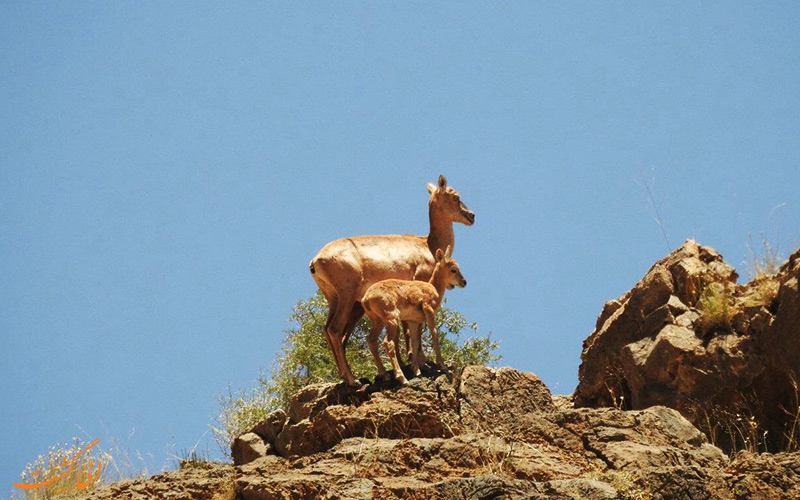 Seven Peaks Protected Area