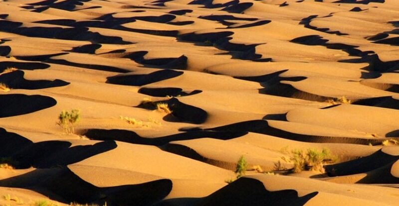 The desert of Egypt