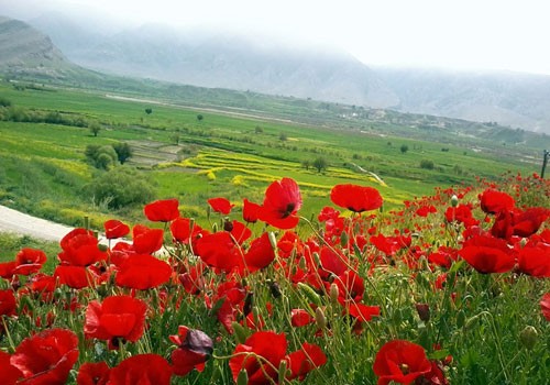 Sosan Izeh plain