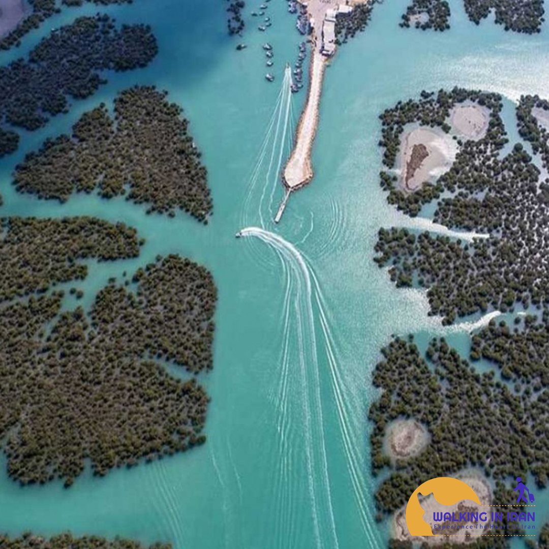 Qeshm’s Hara Forest