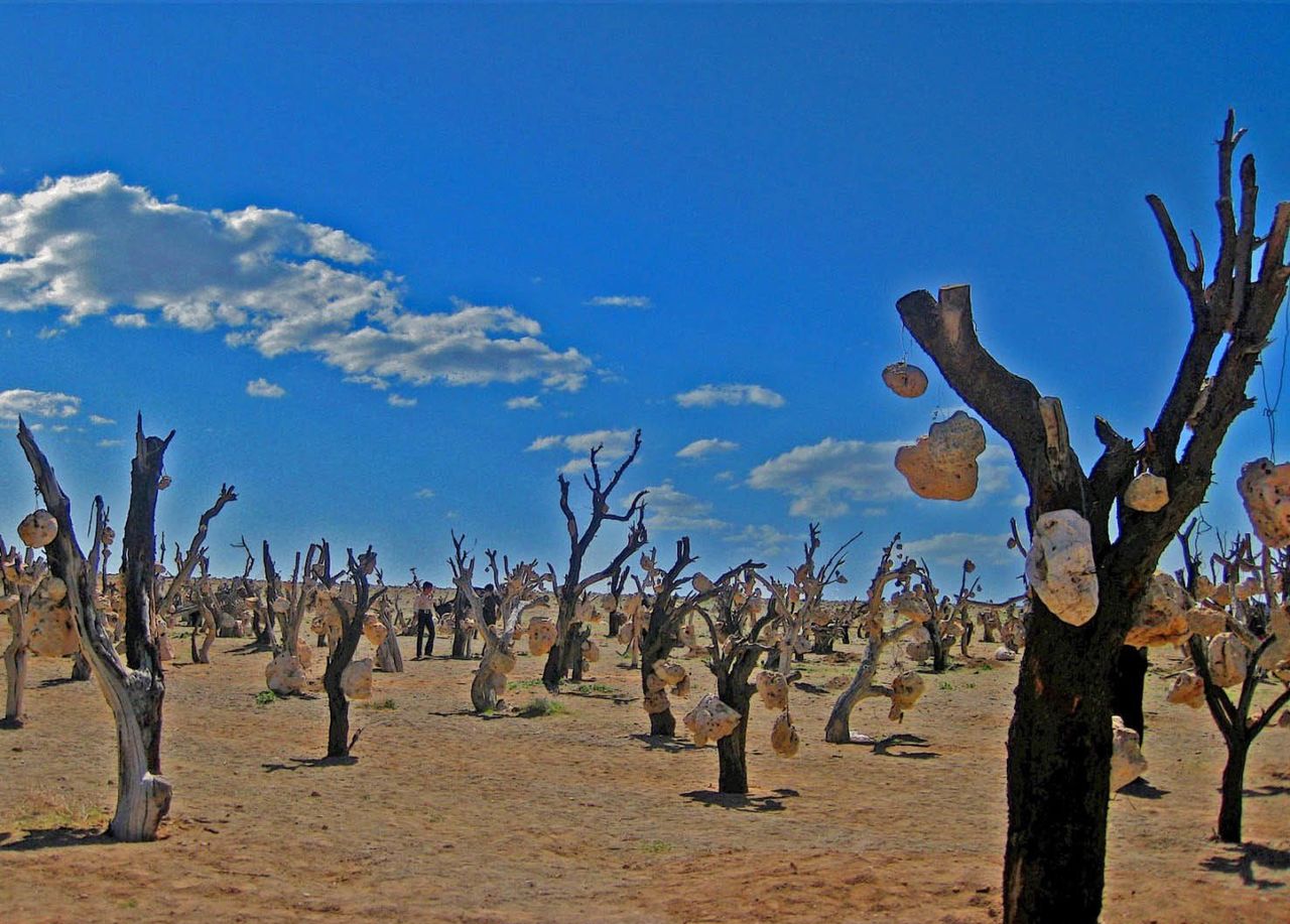 Sirjan stone garden