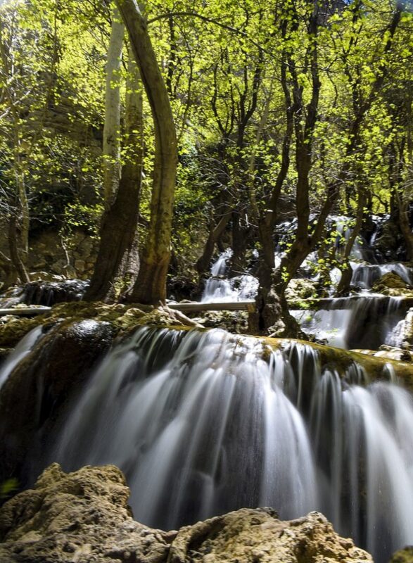 The lost paradise of Shiraz