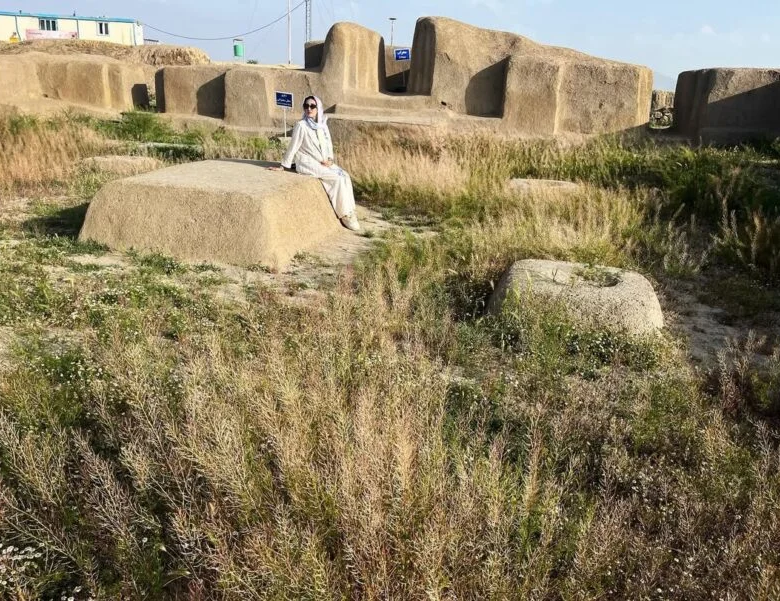 The Hasanlu Tepe
