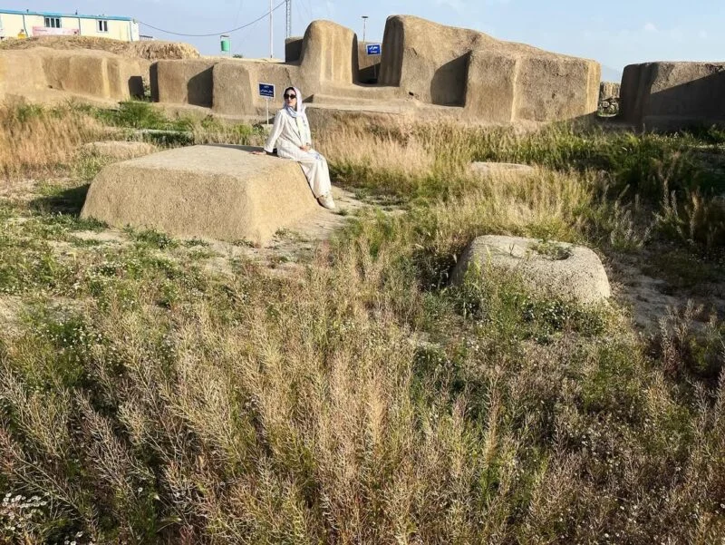 The Hasanlu Tepe The Hasanlu Tepe