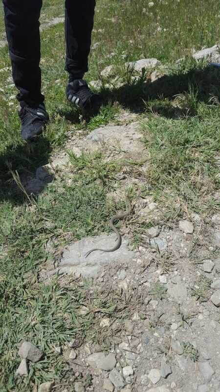 The Quri Gol Wetland The Quri Gol Wetland