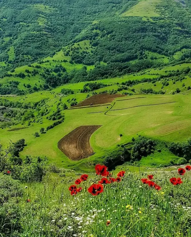 The Arasbaran Forest The Arasbaran Forest