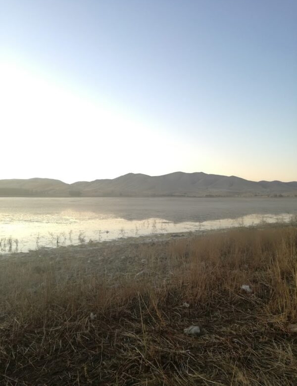 The Quri Gol Wetland