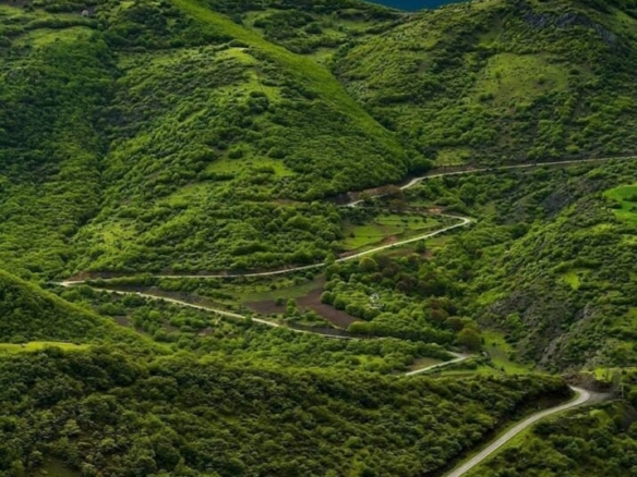 The Arasbaran Forest