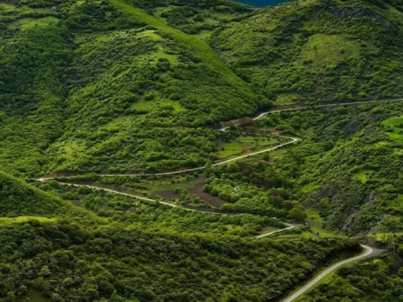The Arasbaran Forest