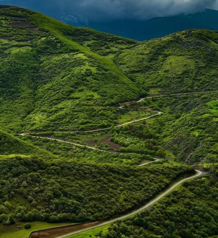 The Arasbaran Forest