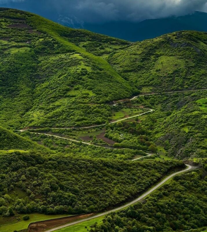 The Arasbaran Forest