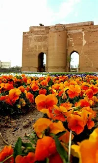 The Arg of Tabriz