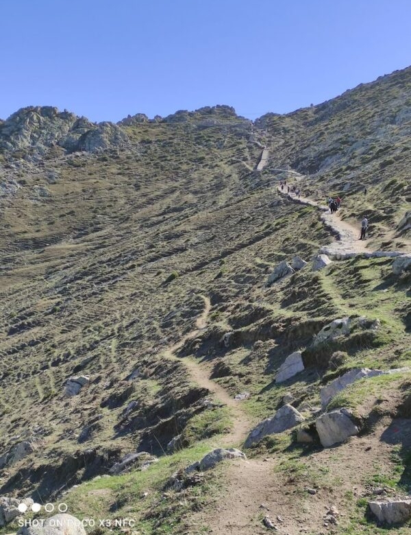 The Arasbaran Forest