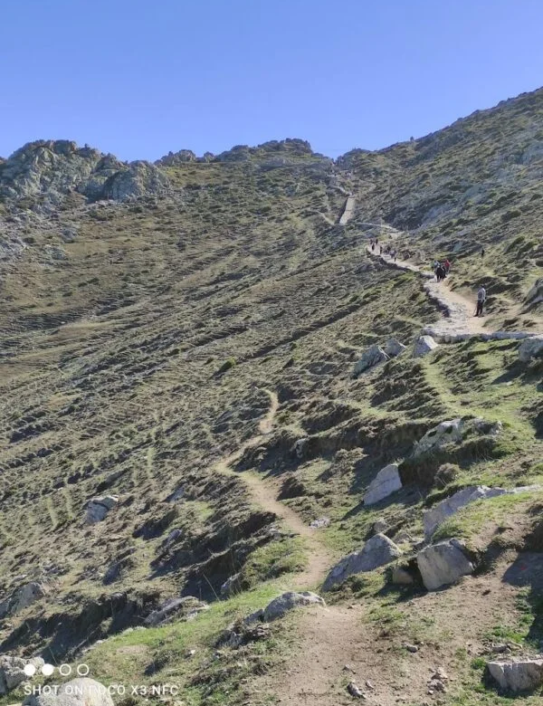 The Arasbaran Forest