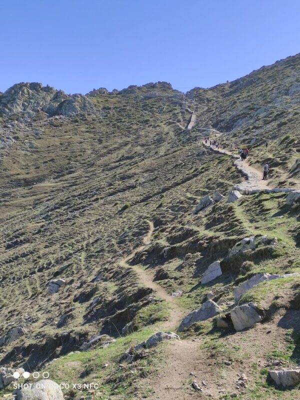 The Arasbaran Forest