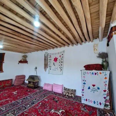 boomgardi mahabad ali 1691701117 3166540938116778110 22348633875 1