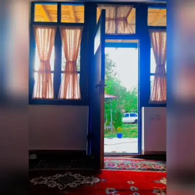 koroshjalili 1657732906 2881594935309271569 4793312018