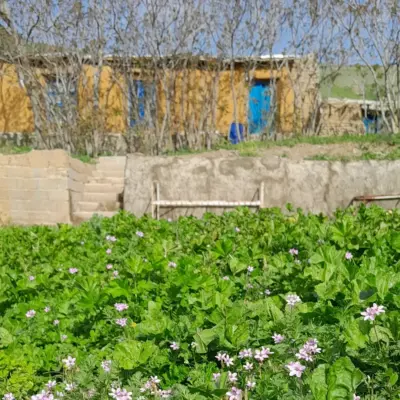 villagealghanab 1713894899 3352715873740969335 54374618199
