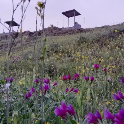 villagealghanab 1713894899 3352715873740998283 54374618199
